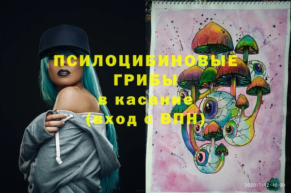 гашик Покров