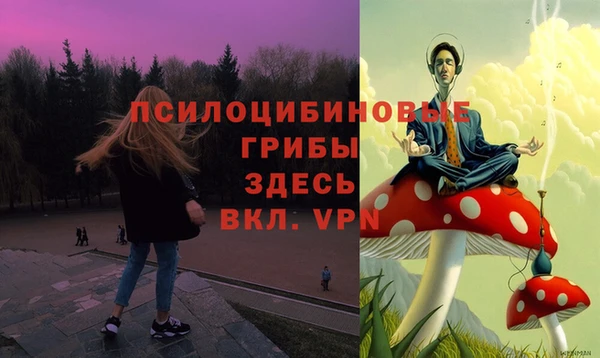 эйфоретик Переславль-Залесский