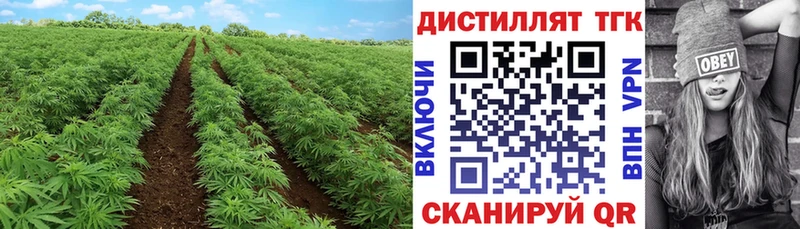как найти закладки  гидра сайт  ТГК Wax  Балашиха 