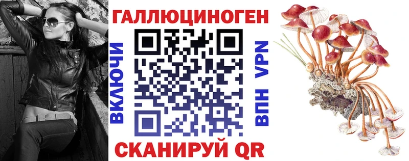 Псилоцибиновые грибы Psilocybe  OMG зеркало  Балашиха 
