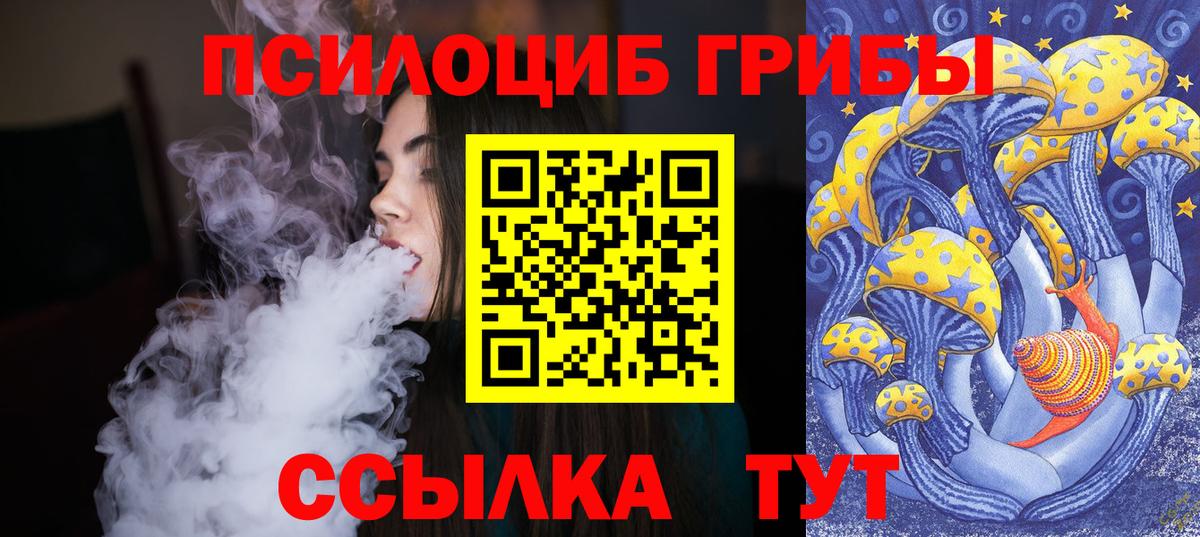 Псилоцибиновые грибы ЛСД Балашиха