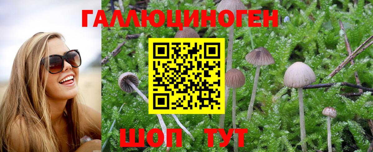 Псилоцибиновые грибы прущие грибы Балашиха
