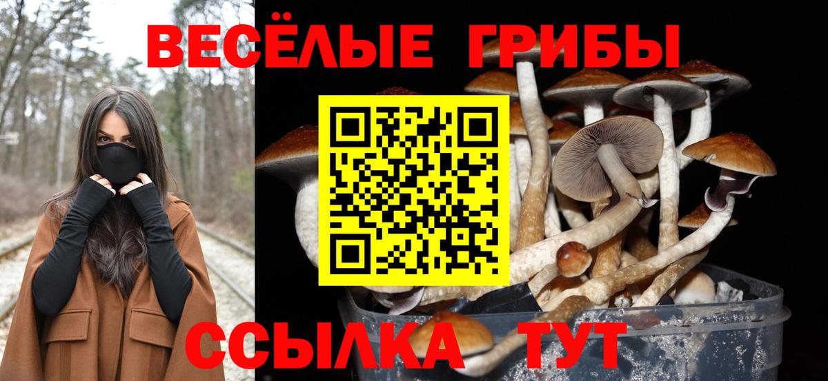 Псилоцибиновые грибы мицелий  Галлюциногенные грибы мицелий  Балашиха  Вход с VPN 